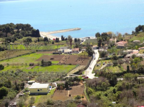  Apartment Amalfi  Сплит